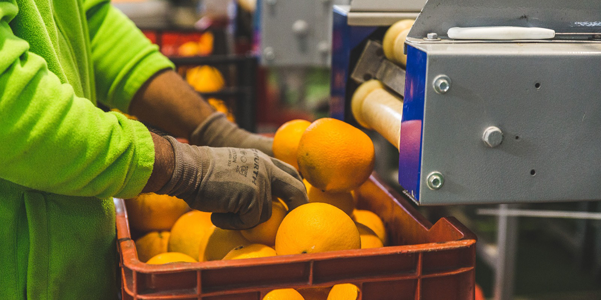 arance-valencia-op-cai-1200-600-az