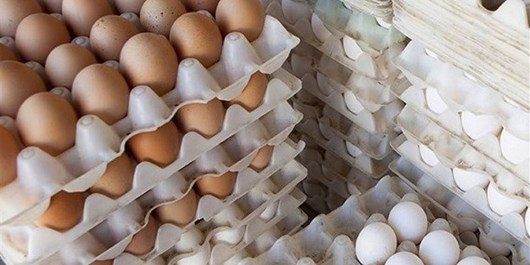 13991027000343_Test_PhotoJ