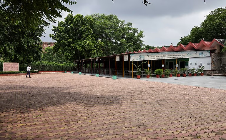 zoo3_1_11zon