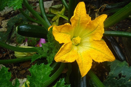 photo (2)