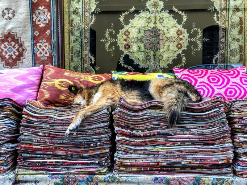 carpet_guard_2_11zon