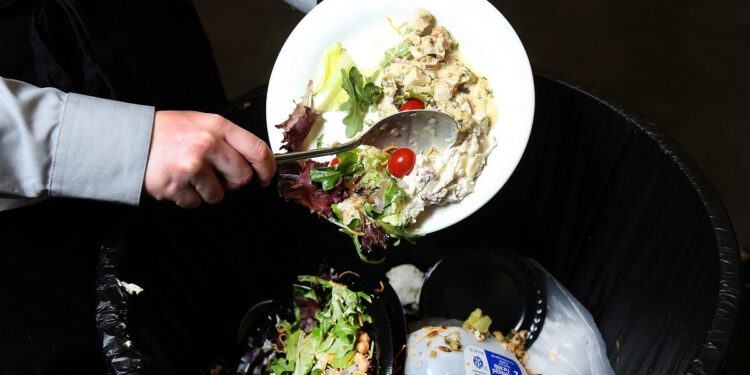 11food-waste_1-750x375