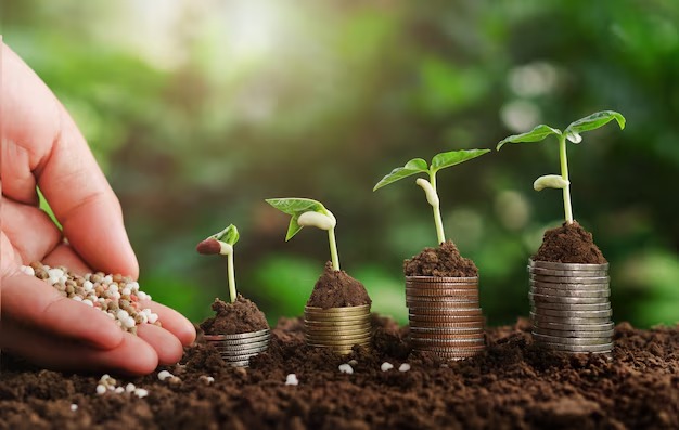 hand-nurturing-fertilizer-plant-growing-step-money-accounting-finance-concept_34152-107_11zon