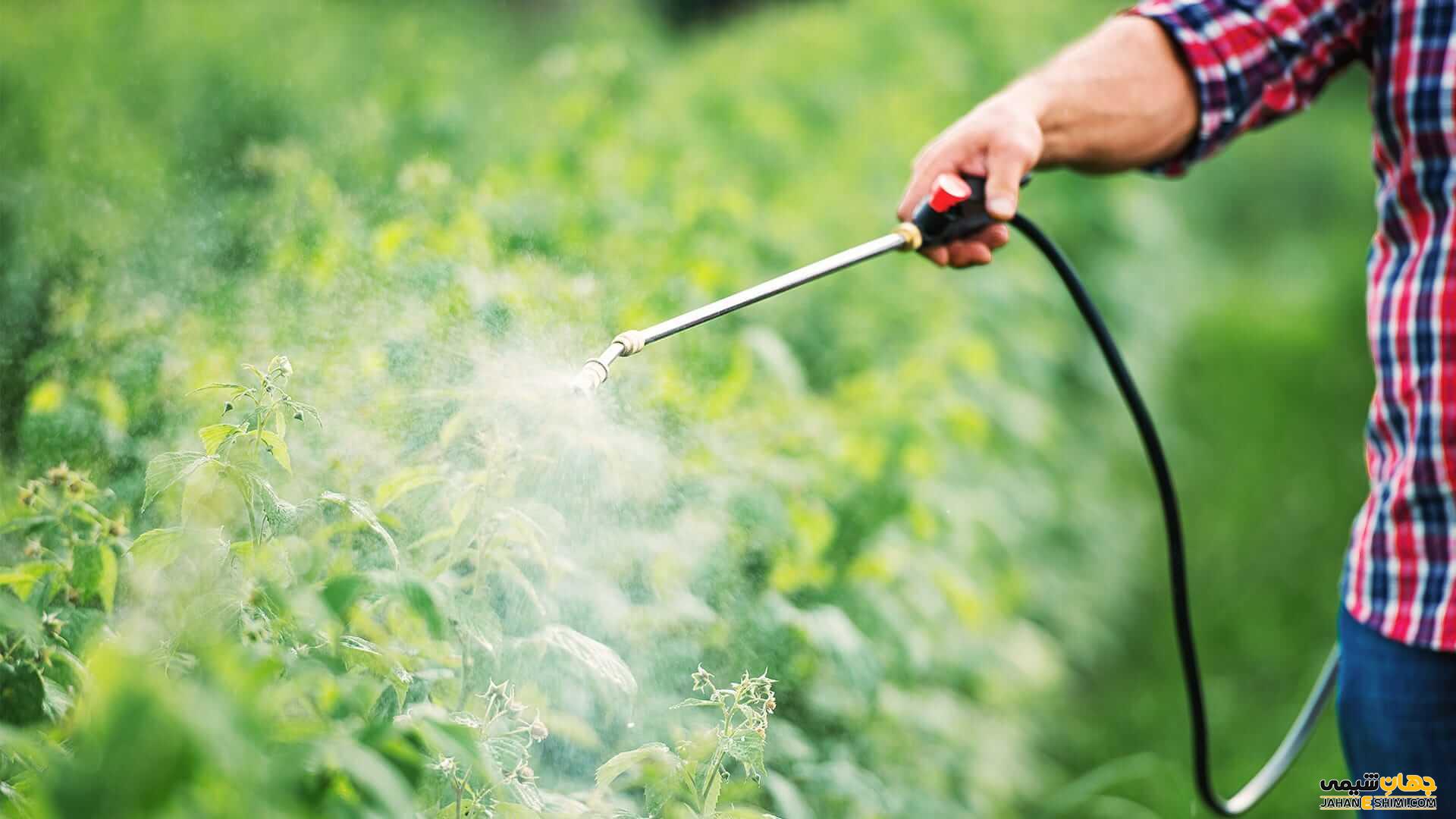 همه-چیز-در-مورد-کاربرد-سموم-و-آفت-کش-ها