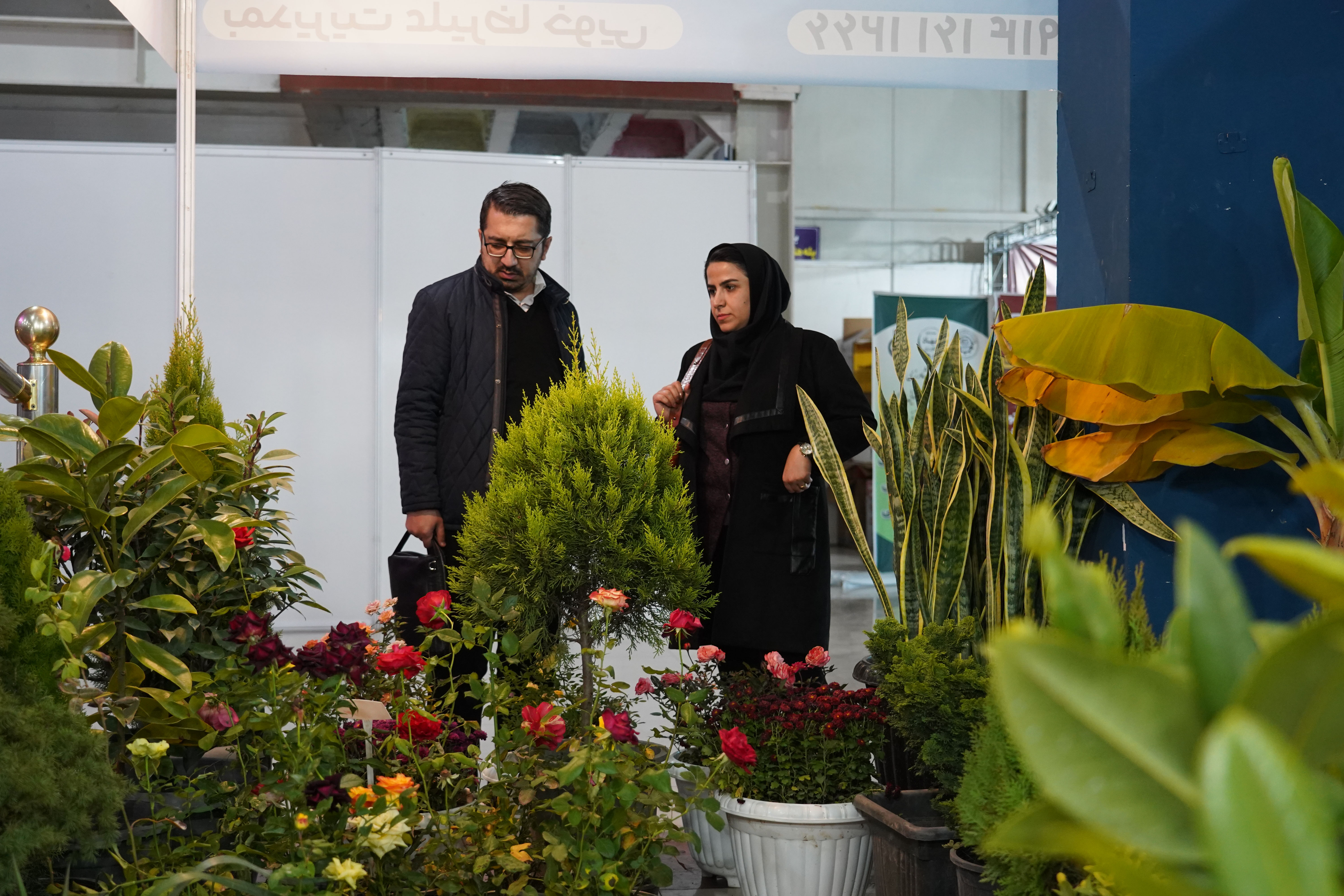 dc3e9673-aa05-4dec-a014-97305b1d8df6