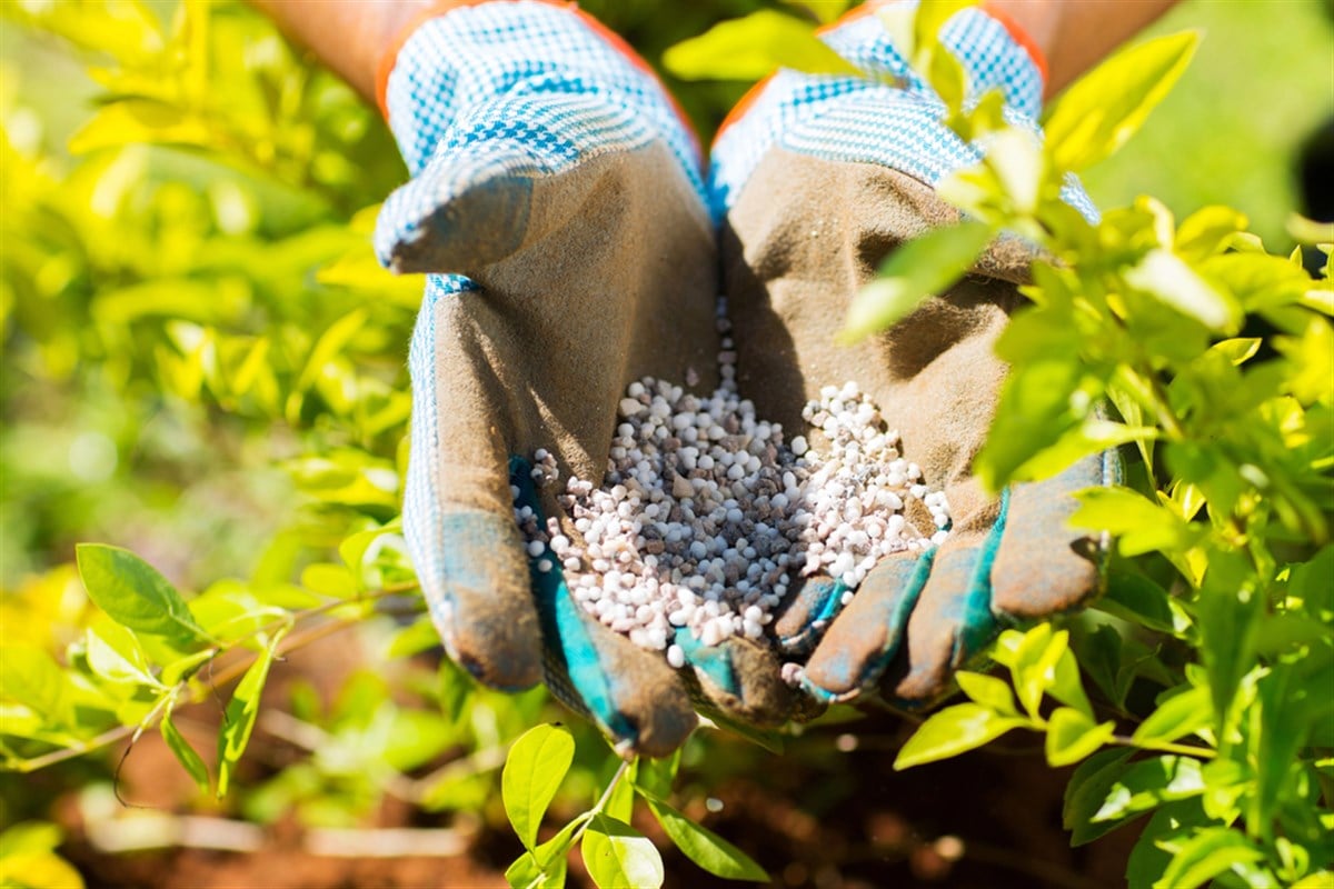 med_20240418115335_how-to-invest-in-fertilizer-opportunities-and-stra