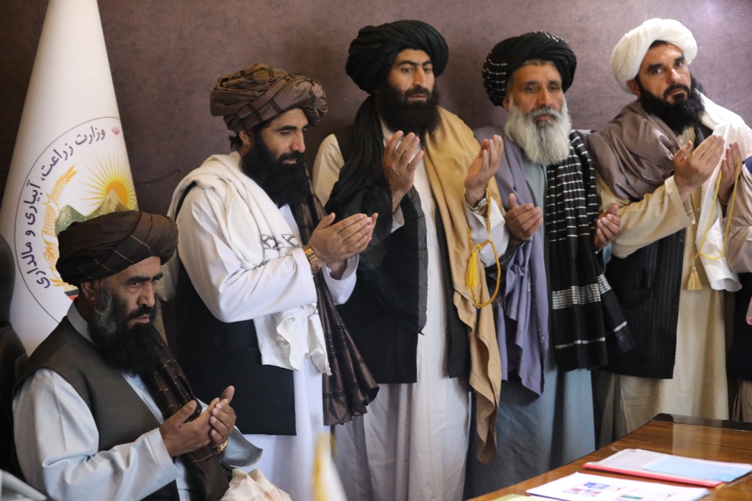 88766db1-8bcc-4585-a819-d55265f149c9