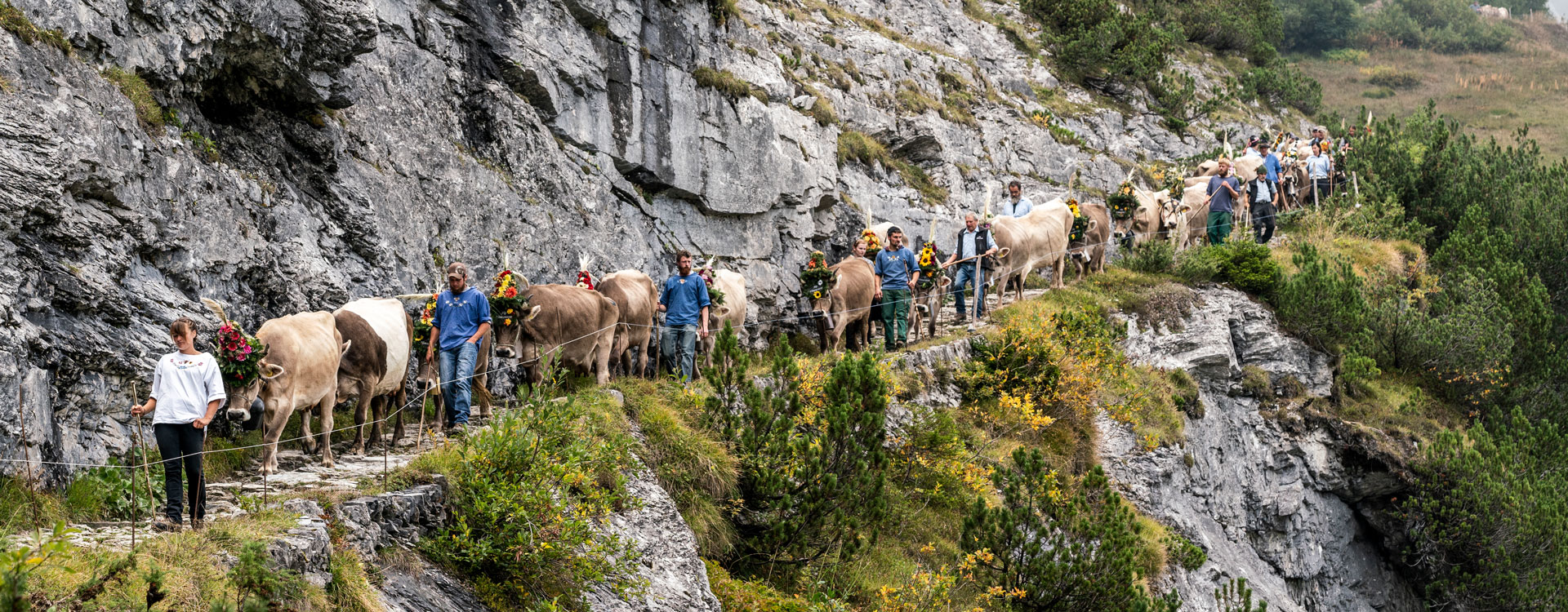 flimslaax_2025_alpabzug_slider_01