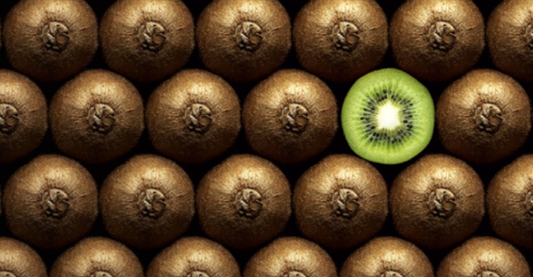 kiwi_11zon