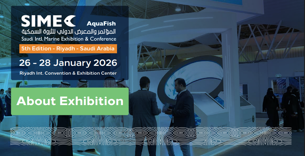 Screenshot 2025-12-26 211408