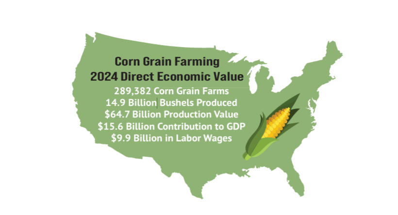 corn-usa- 2024