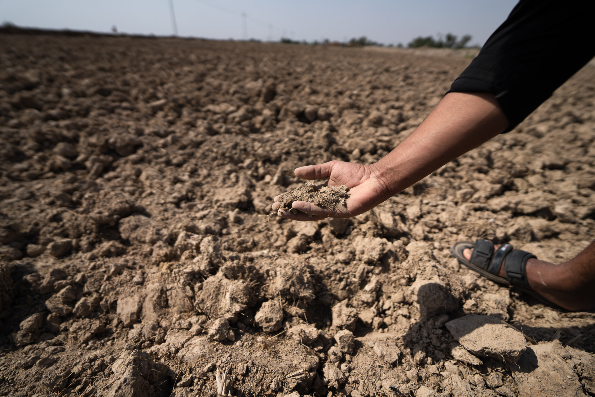 iraq-water-crisis-picture2