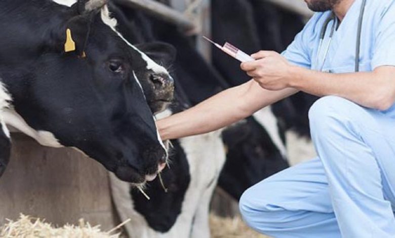 16724264_939-780x470