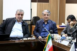 انتقاد نماینده گروه مدلل از اجرای حذف ارز ترجیحی: ساختار بروکراتیک و نبود رقابت، منافع طرح را خنثی کرده است