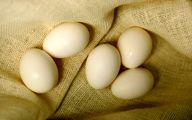 سایه بحران بر صنعت مرغ تخم‌گذار/۱۱ درخواست فوری برای نجات صنعت تخم‌مرغ