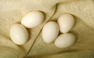 سایه بحران بر صنعت مرغ تخم‌گذار/۱۱ درخواست فوری برای نجات صنعت تخم‌مرغ