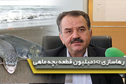 رشد 106 درصدی رهاسازی ماهی در دریای خزر