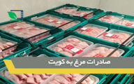 صادرات مرغ و تخم‌مرغ به کویت آزاد شد