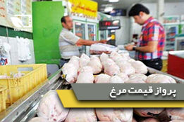پرواز قیمت مرغ