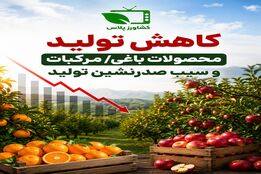کاهش تولید محصولات باغی/ مرکبات و سیب صدرنشین تولید