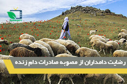 رضایت دامداران از مصوبه صادرات دام