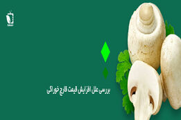 کاه و کلش متهم اصلی افزایش قیمت قارچ 