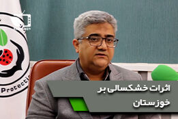 بررسی اثرات خشکسالی های اخیر بر طغیان آفات و بیماری های گیاهی در استان خوزستان