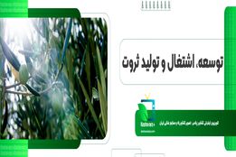 توسعه اشتغال و تولید ثروت ماحصل واگذاری زمین به تعاونی های کشاورزی 