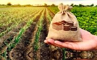ضرورت افزایش اعتبارات صندوق بیمه کشاورزی و تأمین امنیت غذایی