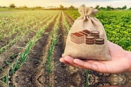 ضرورت افزایش اعتبارات صندوق بیمه کشاورزی و تأمین امنیت غذایی