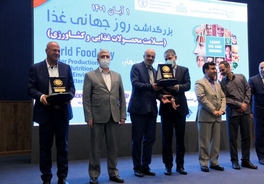 گالری