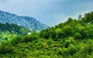 بیانیه‌ی آماده باش یگان حفاظت منابع طبیعی کشور برای مقابله با حریق‌های احتمالی