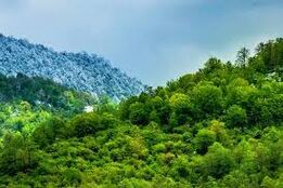 بیانیه‌ی آماده باش یگان حفاظت منابع طبیعی کشور برای مقابله با حریق‌های احتمالی