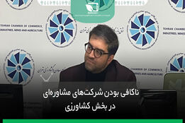 ناکافی بودن شرکت‌های مشاوره‌ای در بخش کشاورزی