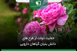 حمایت دولت از طرح های دانش بنیان گیاهان دارویی
