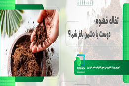 تفاله‌ قهوه؛ دوست یا دشمن باغ شما؟