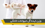 وزن ایده آل برای حیوانات خانگی