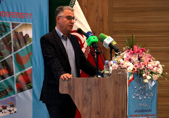 گالری