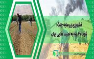 کشاورزی زیر سایه جنگ؛ شوک ۴۰ روزه به امنیت غذایی ایران