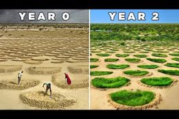 سیستم «فراموش‌شده» برداشت آب، بیابان «متروکه» را به زمین کشاورزی حاصل‌خیز تبدیل می‌کند