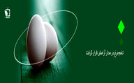 تخم مرغ در مدار آرامش قرار گرفت