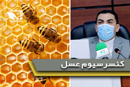 کنسرسیوم زنبور عسل