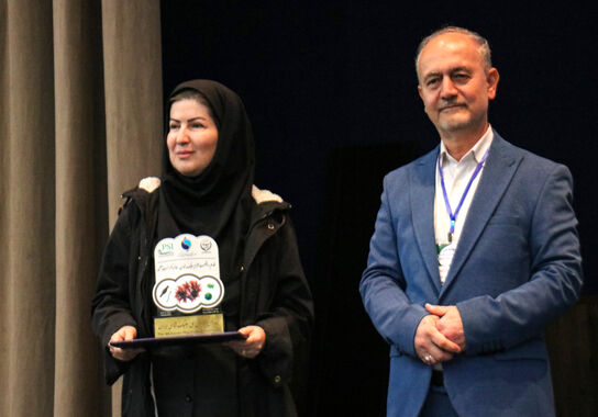 گالری
