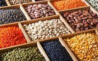 پیش‌بینی تولید ۶۵۰ هزار تن حبوبات به رغم خشکسالی