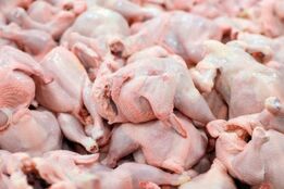 زنگ خطر مرغ ۴۰۰ هزار تومانی به صدا در آمد