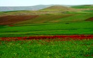  دشت مُغان  