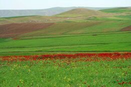  دشت مُغان  