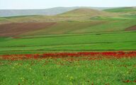  دشت مُغان  
