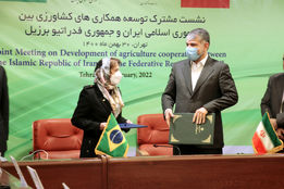 نشست توسعه همکاری ایران و برزیل