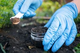 پیشرفت چشمگیر دانشمندان در علم خاک و کشاورزی پایدار